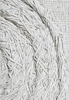 Bianca Severijns, paper art, paper artist