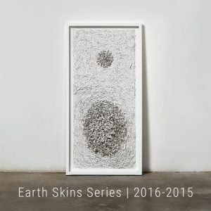 Bianca Severijns, Earth Skins Series 2016, contemporary art, modern art, paper art, contemporary paper artist, contemporary paper art,